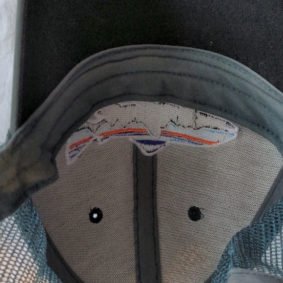 Patagonia Accessories Patagonia Ball Cap Poshmark